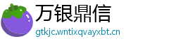 万银鼎信